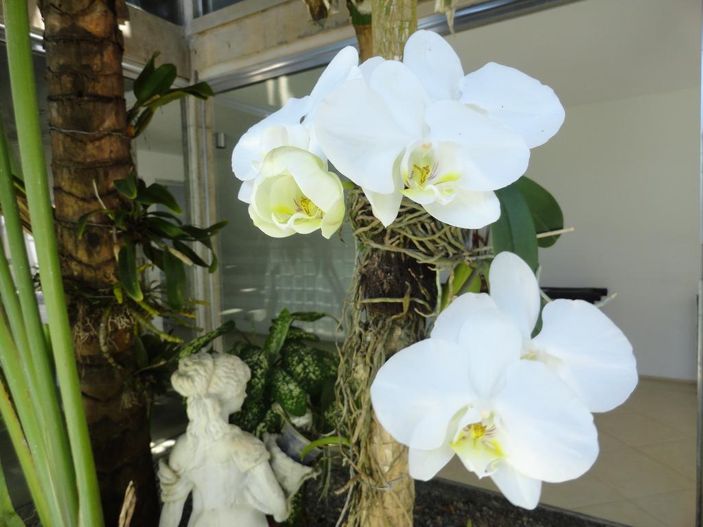 Pousada Orquideas 과루자 외부 사진